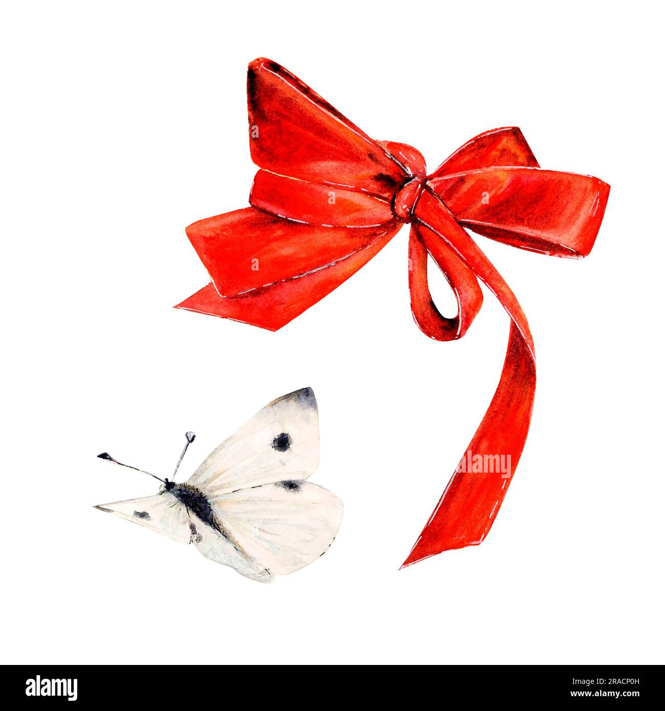 Satin ribbon bow in red and white flying butterfly. Hand-drawn ...