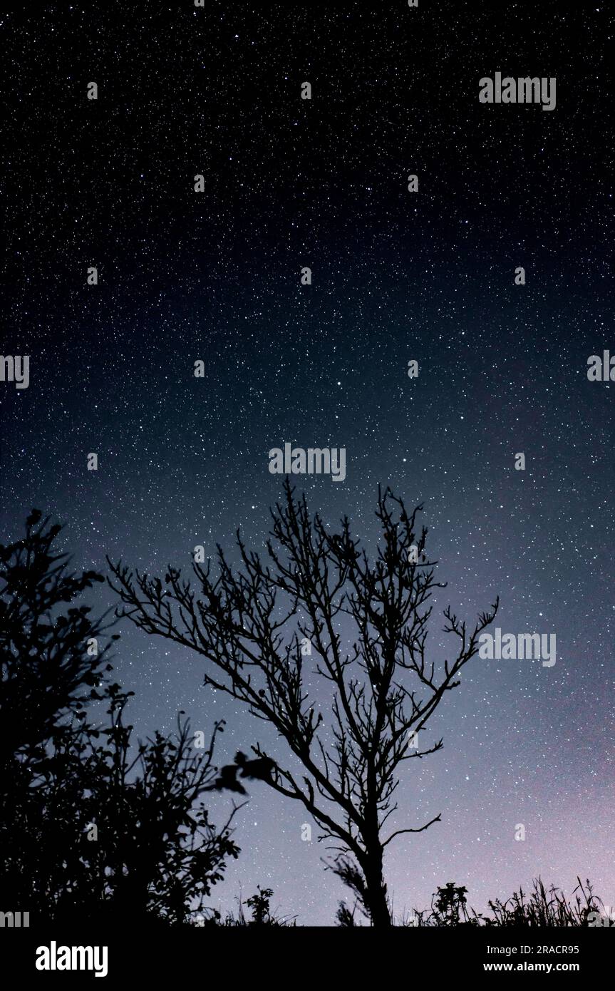 Stars night sky black white hi-res stock photography and images - Alamy
