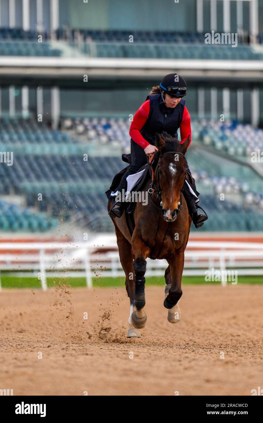 Horse And Jockey Morning Training On Racecourse Stock Photo Alamy horse-and-jockey-morning-training-on-racecourse-stock-photo-alamy