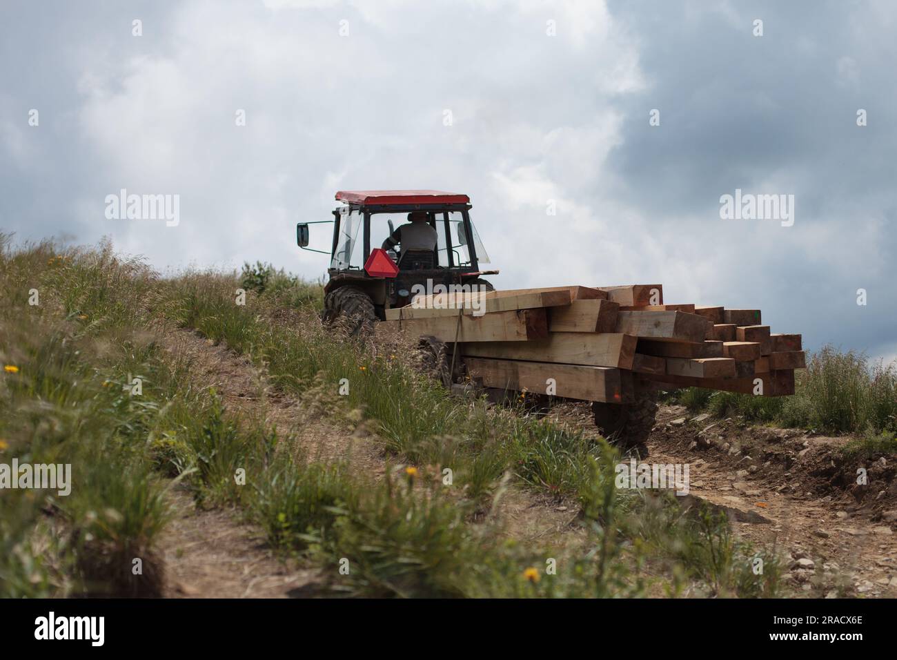 The farmer transports construction timber, wooden rafters with a ...