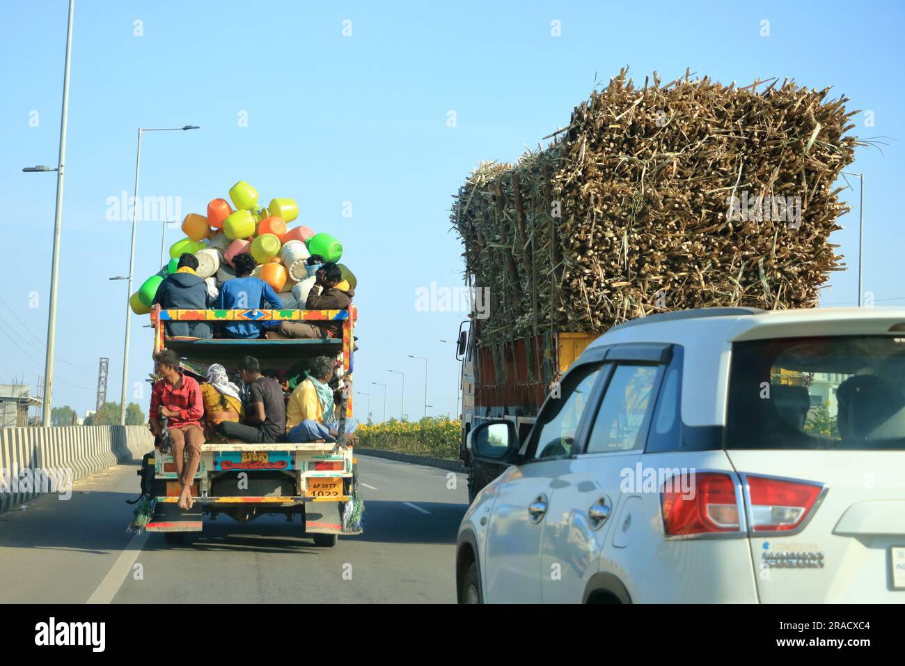 December 18 2022 - Karnataka in India: truck heavily overloaded with sugar cane is going to the factory Stock Photo