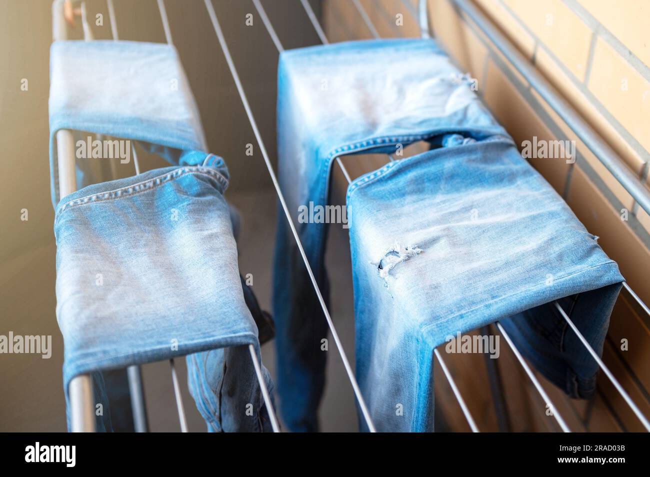 Jeans drying on the dryer. Wet blue jeans drying in the apartment on