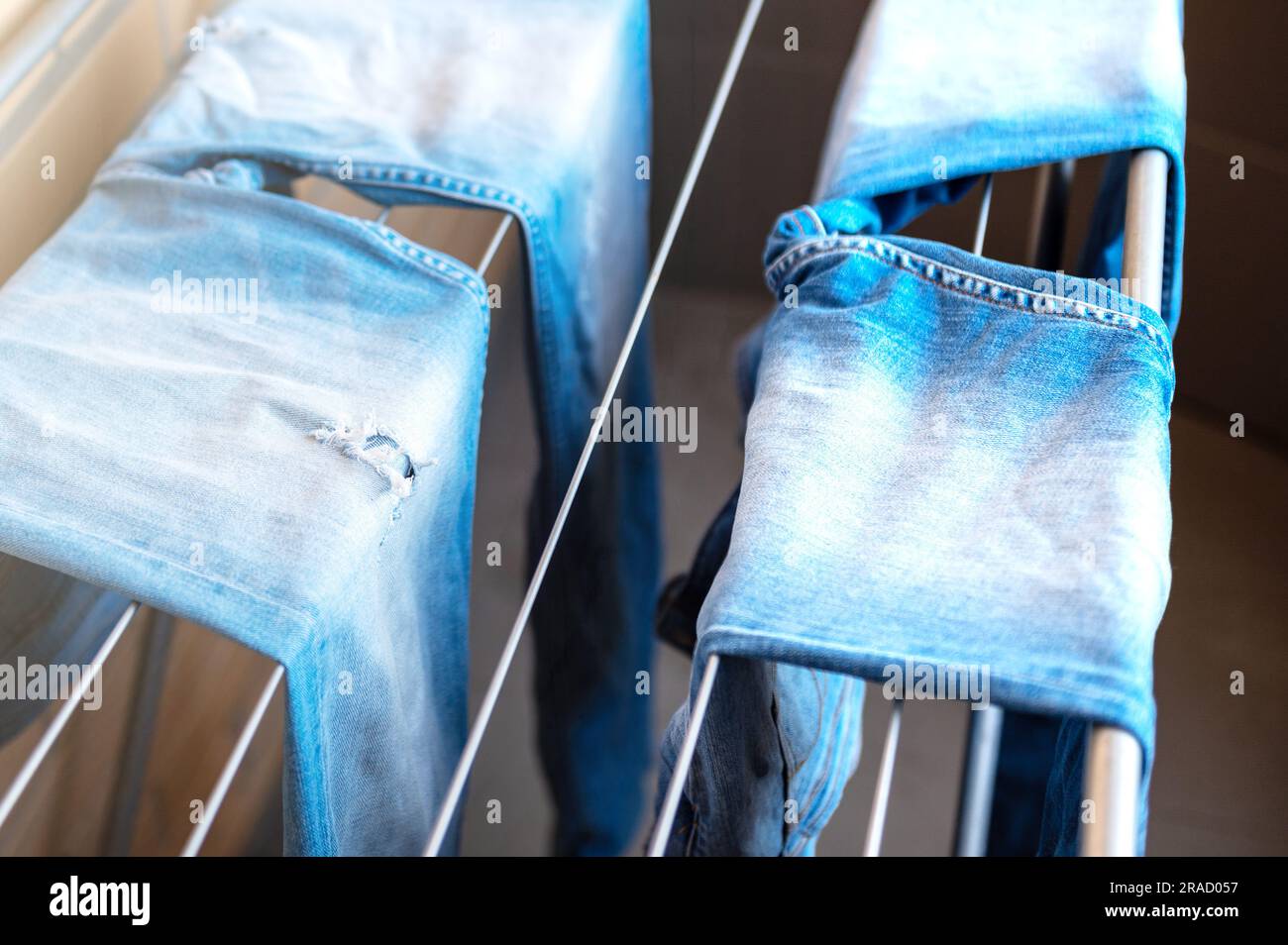 Jeans drying on the dryer. Wet blue jeans drying in the apartment on