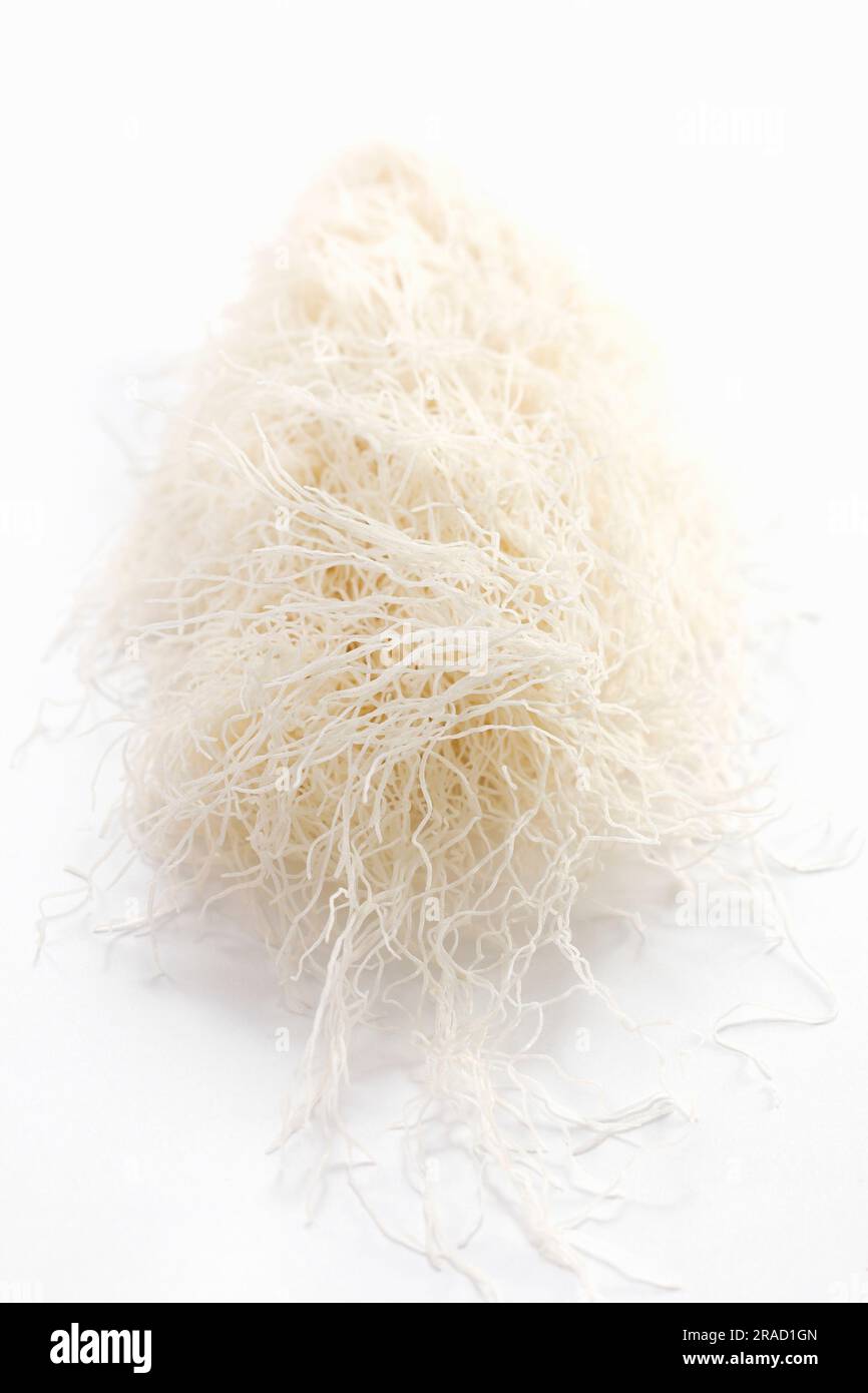 Dough Threads Kataifi dough hi-res stock photography and images - Alamy