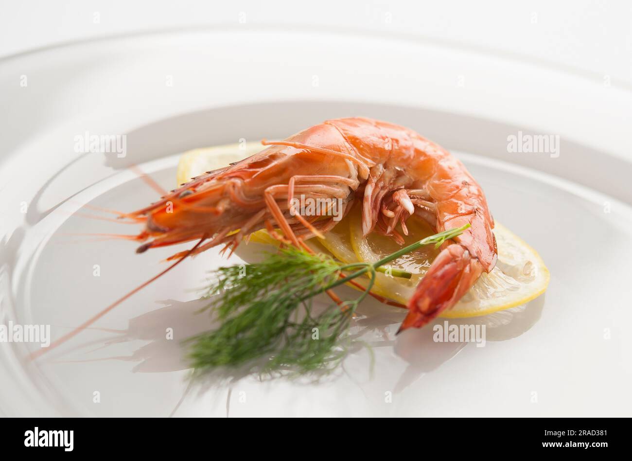 Cooked shrimp on lemon slices Stock Photo