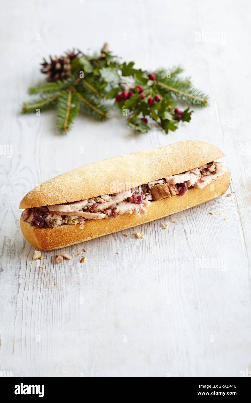 Baguette with turkey stuffing, sausage, and cranberries Stock Photo Alamy