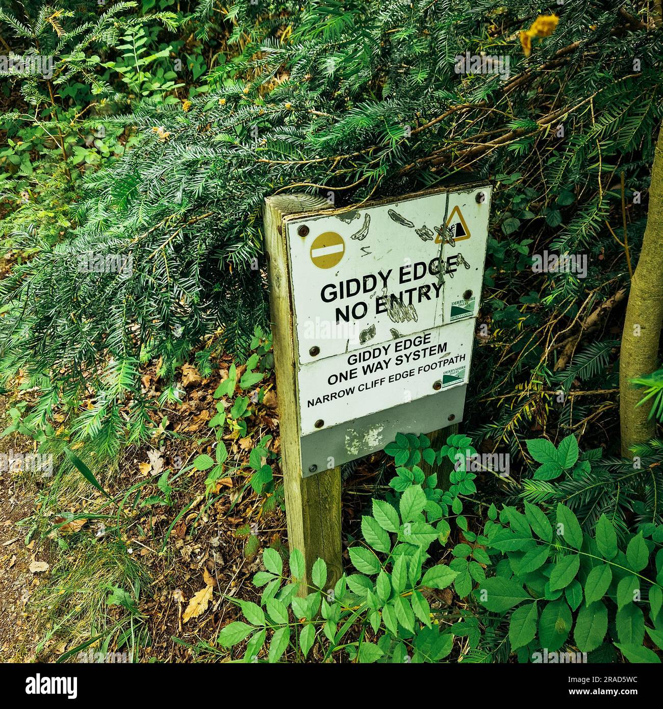 Discover the enchanting charm of Matlock, as the iconic High Tor takes 