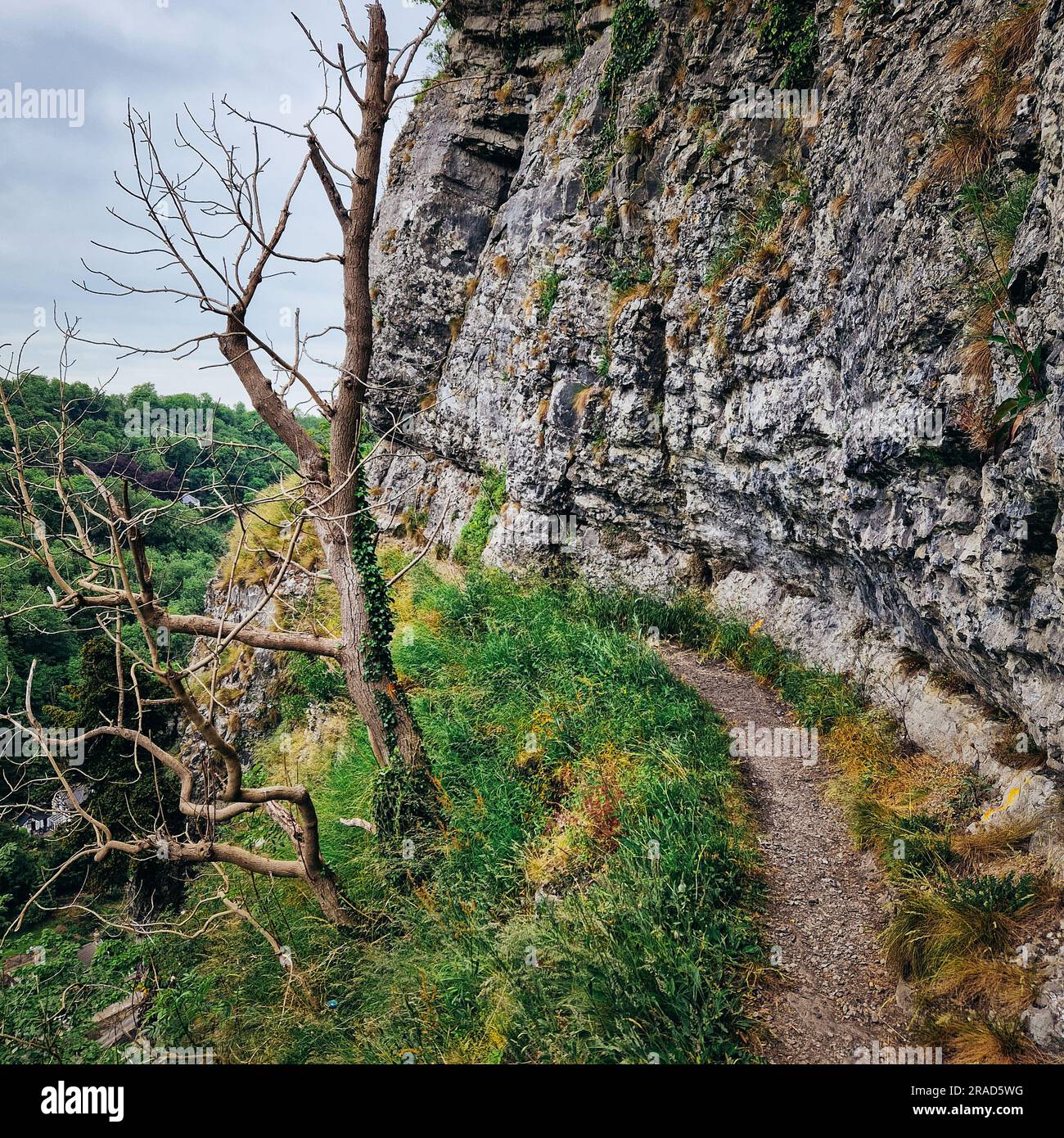 Discover the enchanting charm of Matlock, as the iconic High Tor takes 