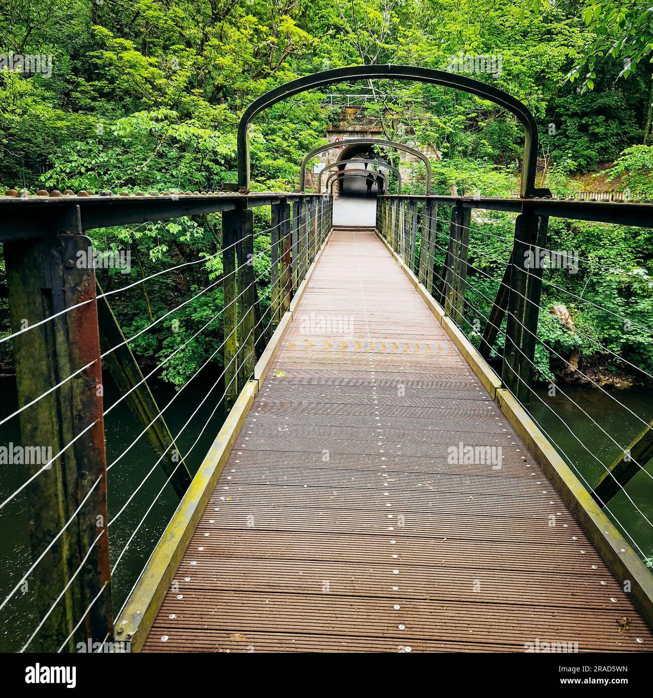 Discover the enchanting charm of Matlock, as the iconic High Tor takes 