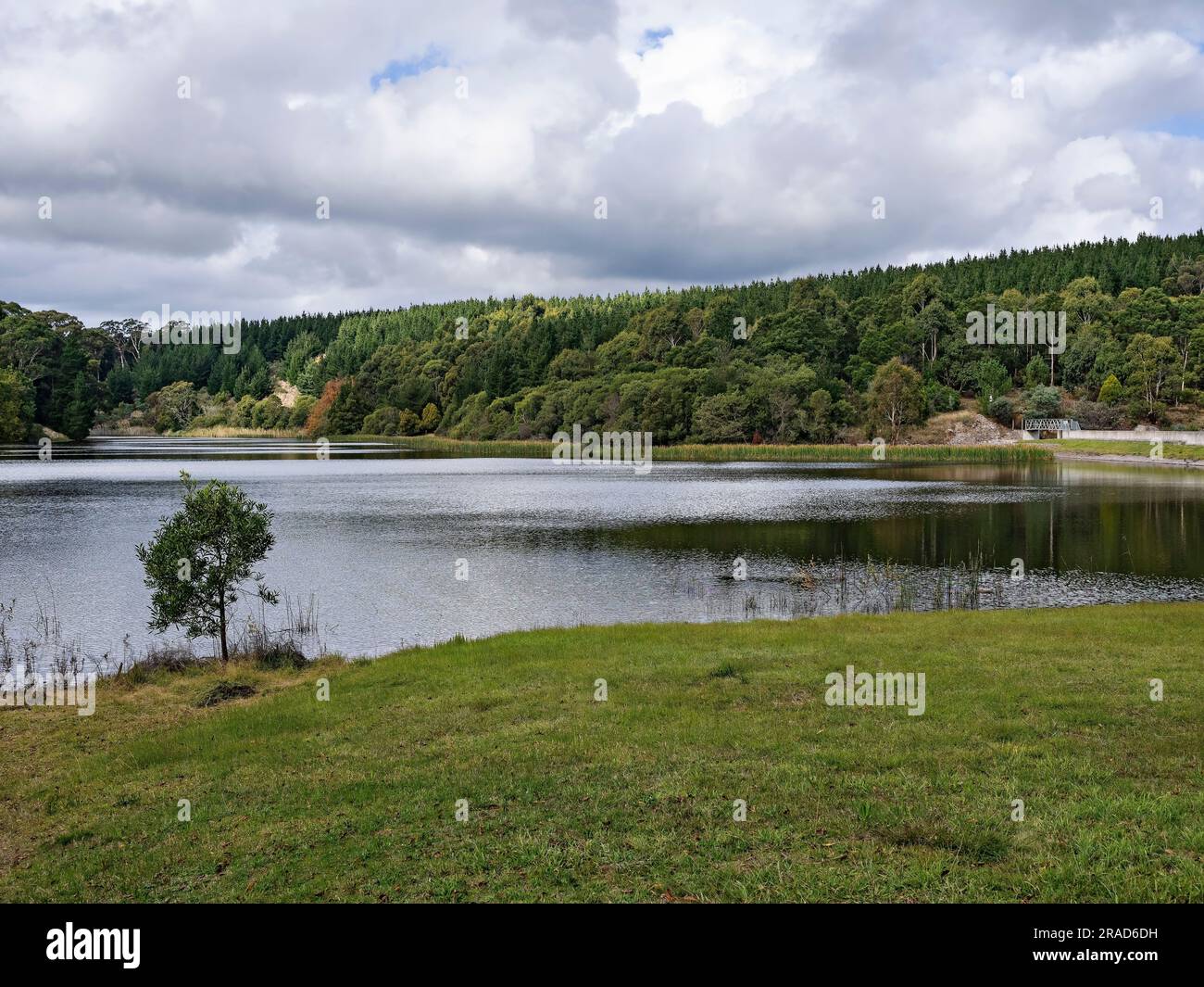 Ballarat Australia / Kirks Reservoir Park is a beautiful location.The