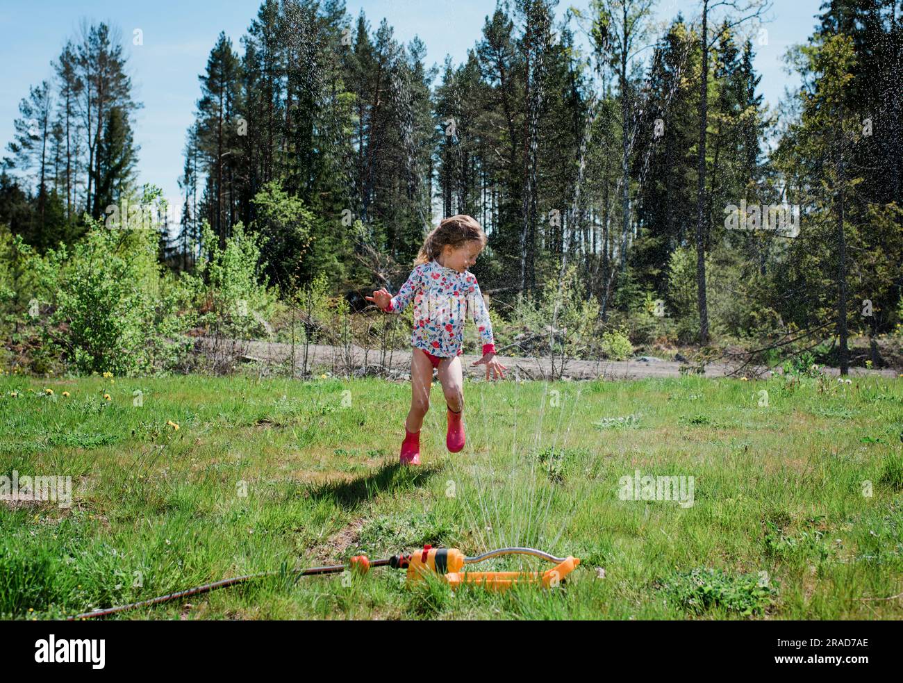 young girl running through a sprinkler in her garden playing Stock Photo