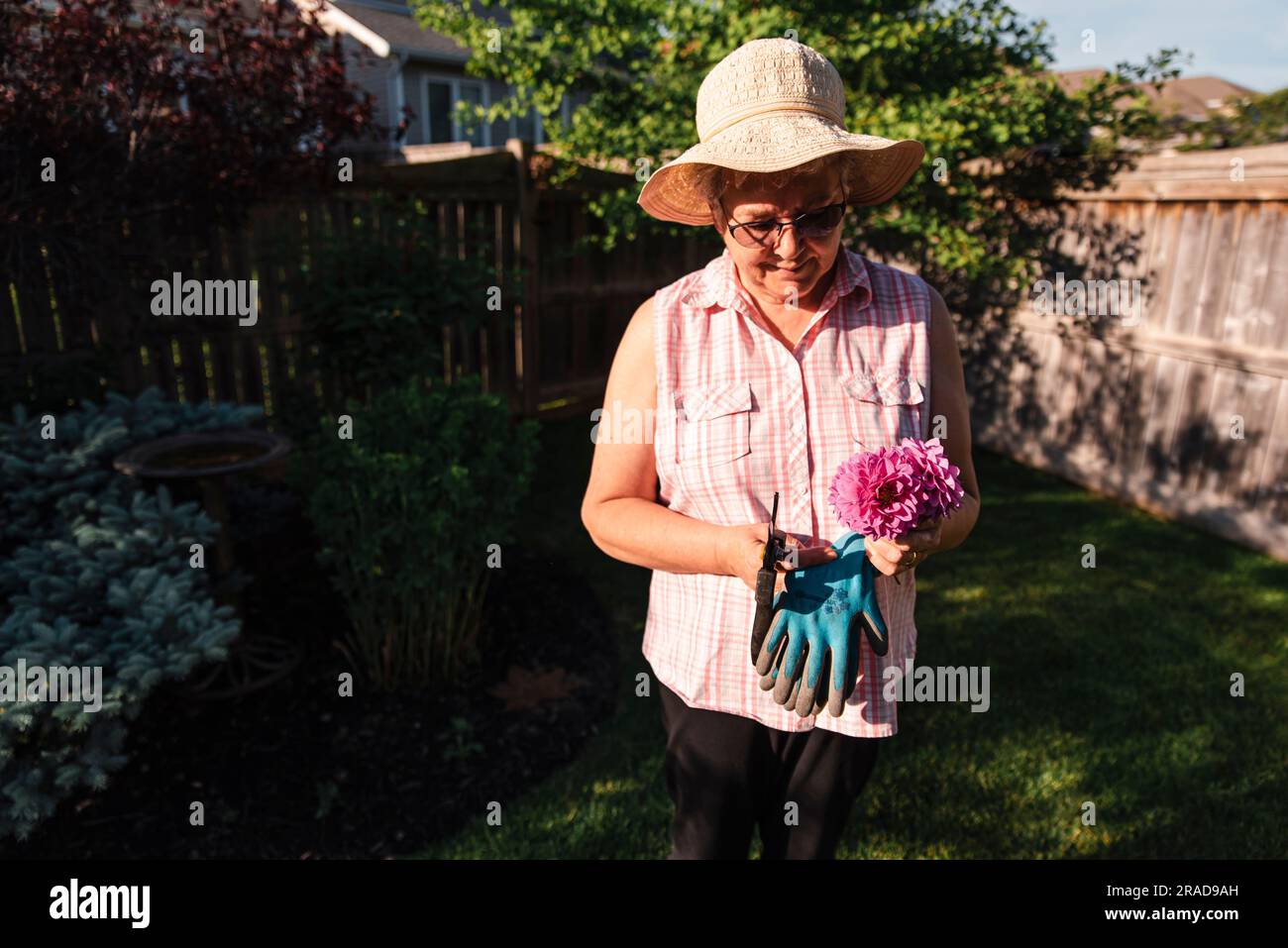 Older woman in hat holding bunch of freshly cut flowers in a yard. Stock Photo