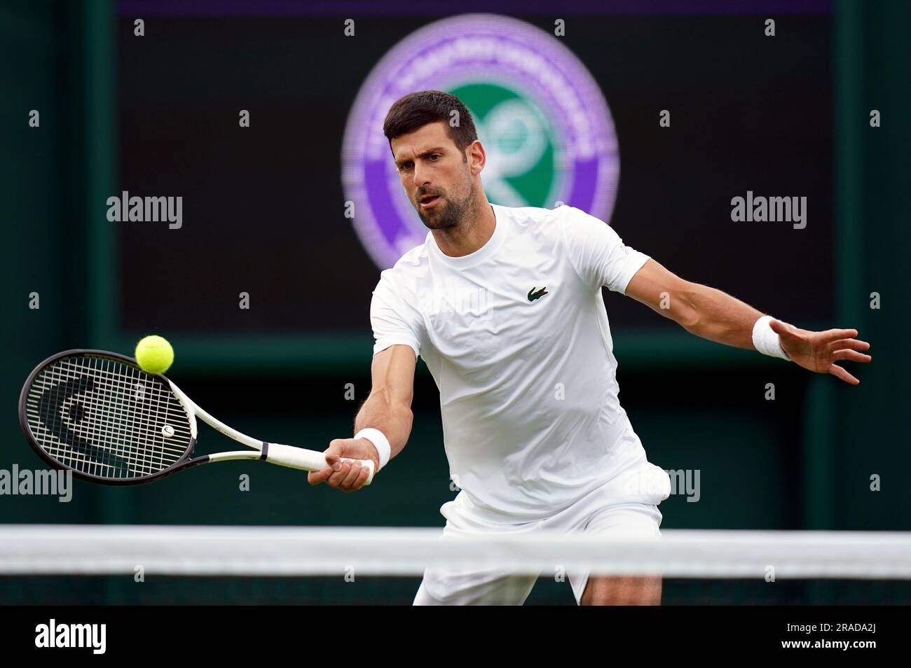 What a Djokovic Wimbledon Win Would Mean for Tennis History What a Djokovic Wimbledon Win Would Mean for Tennis History