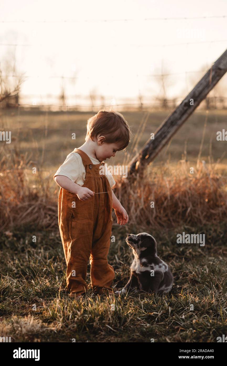 little boy outside on farm with a puppy Stock Photo