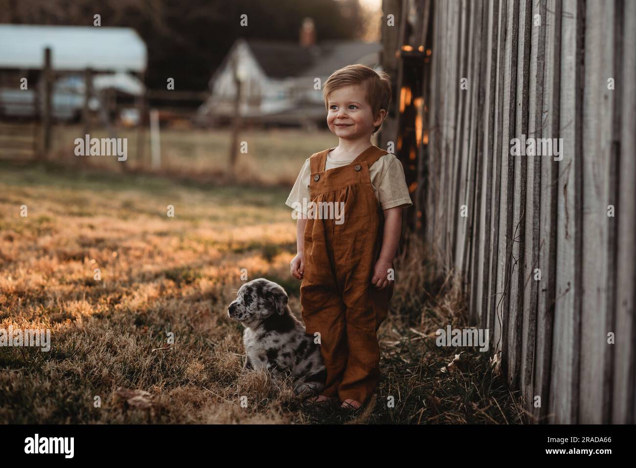 toddler baby boy standing outside by a barn with a puppy Stock Photo