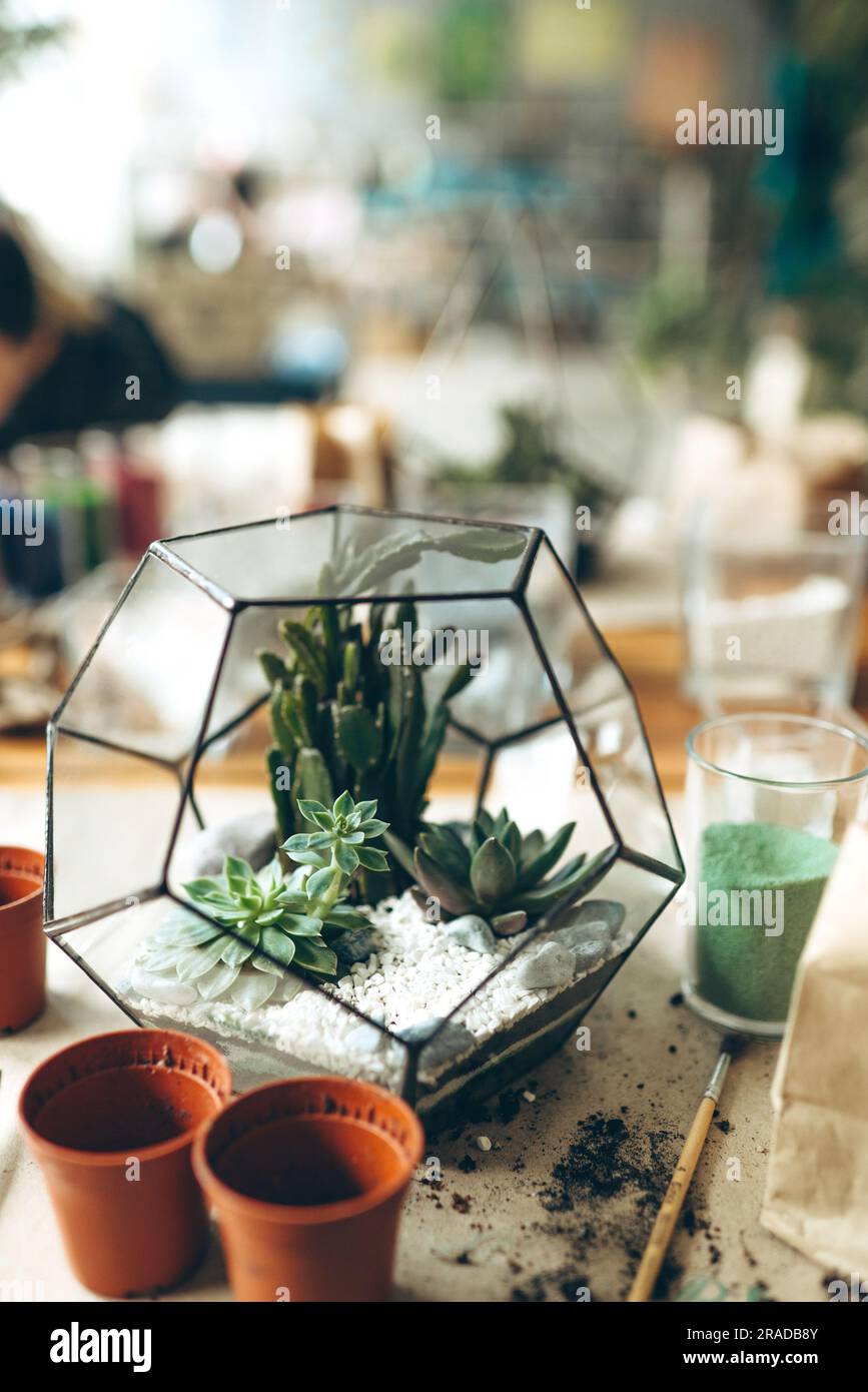 Glass geometric florarium, terrarium, with succulent, sand, pebbles. Metal handmade vase planter for home decor and table decoration Stock Photo