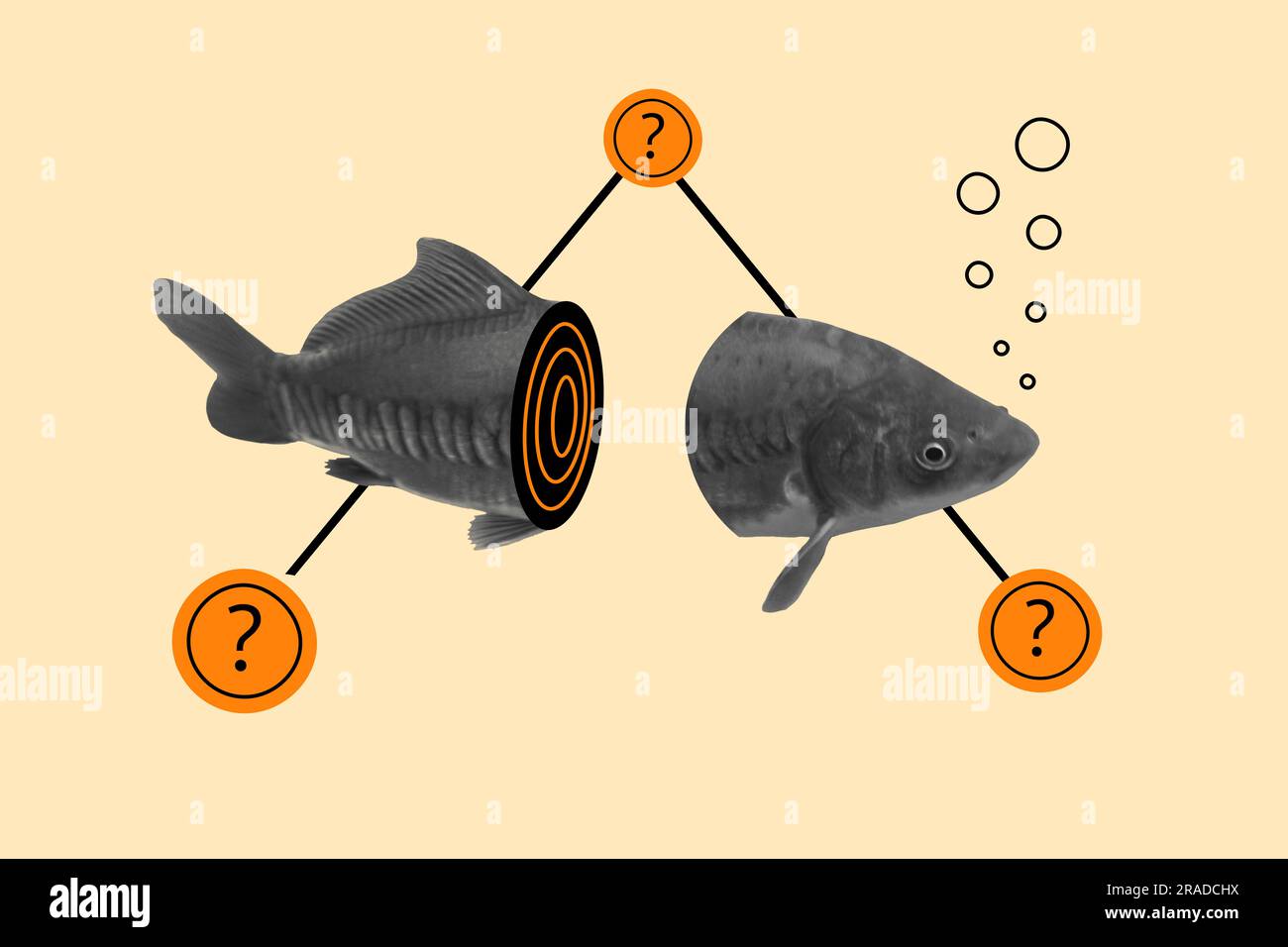 Banner imag 3d picture absurd collage illustration two parts of fish