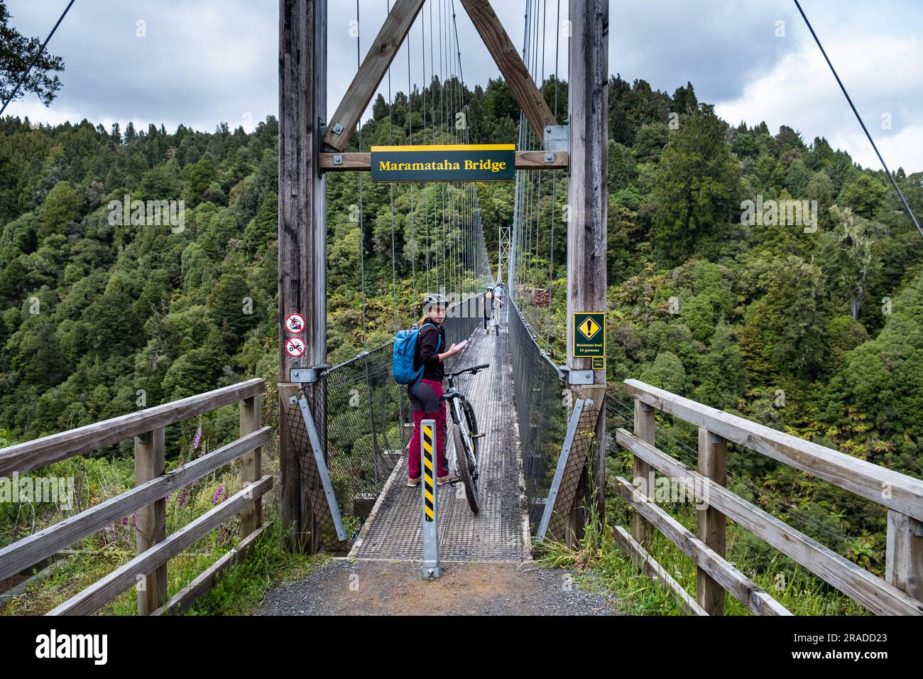 Cyclists at Maramataha Bridge is the longest on the Pureora-Ongarue Timber Trail at 141m long and 60m above ground. Near Taumarunui, New Zealand. Stock Photo