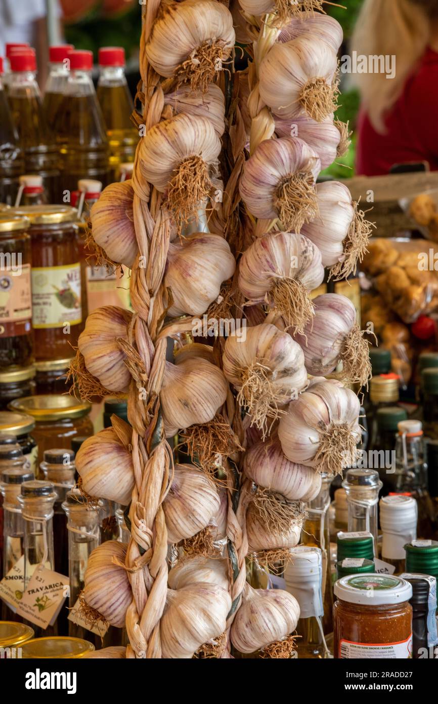fresh plaits or platts of garlic hanging for sale at a market stall in the croatian town of split in croatia, trogir food market. Stock Photo