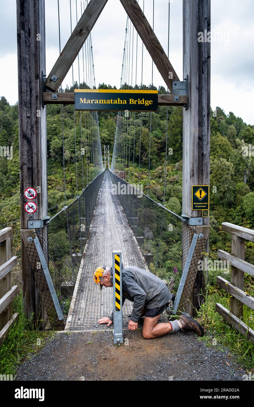 Repairs at Maramataha Bridge – the longest on the Pureora-Ongarue Timber Trail at 141m long and 60m above ground. Near Taumarunui, New Zealand. Stock Photo