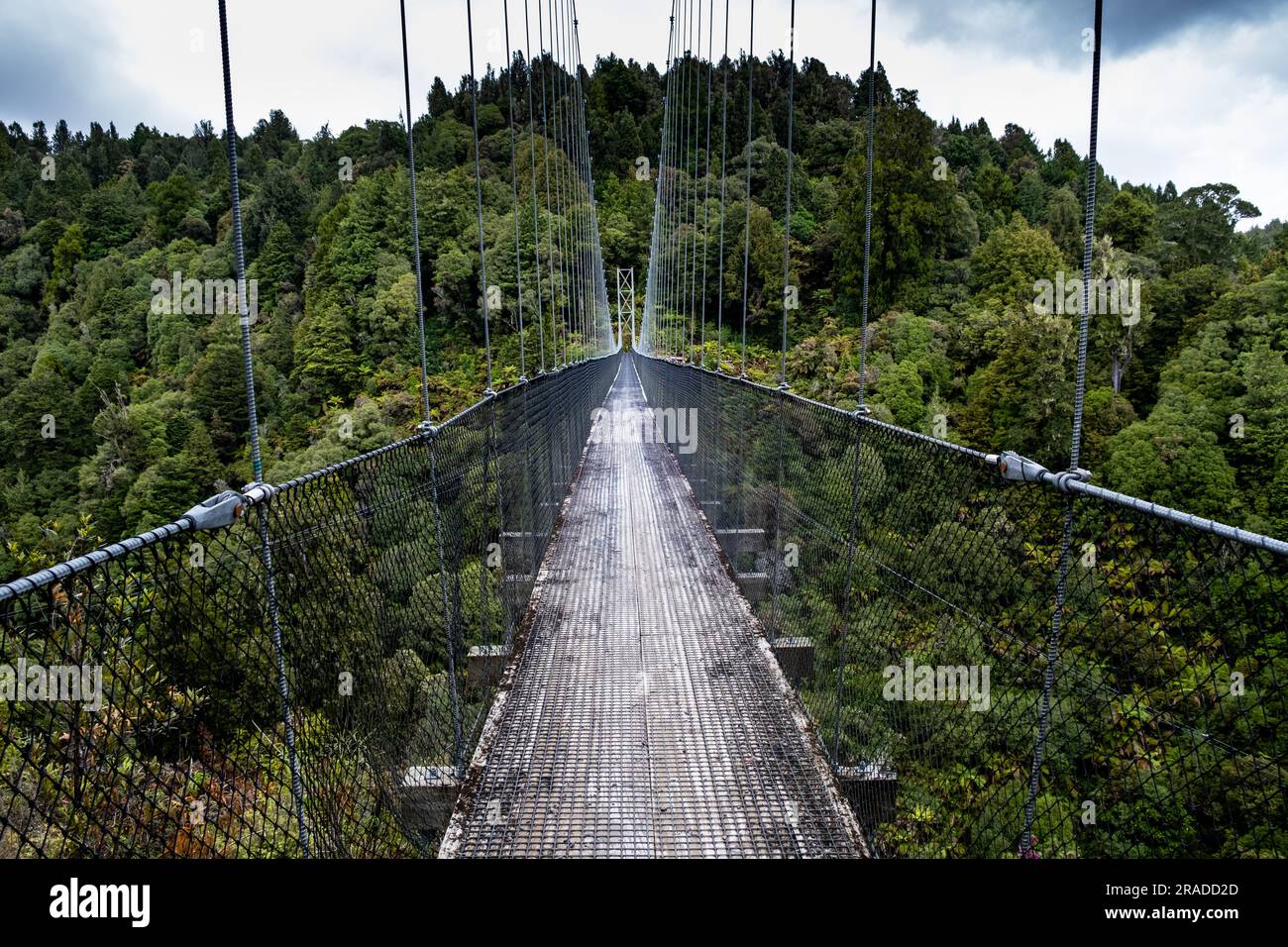 Maramataha Bridge is the longest on the Pureora-Ongarue Timber Trail at 141m long and 60m above ground. Near Taumarunui, King Country, New Zealand. Stock Photo