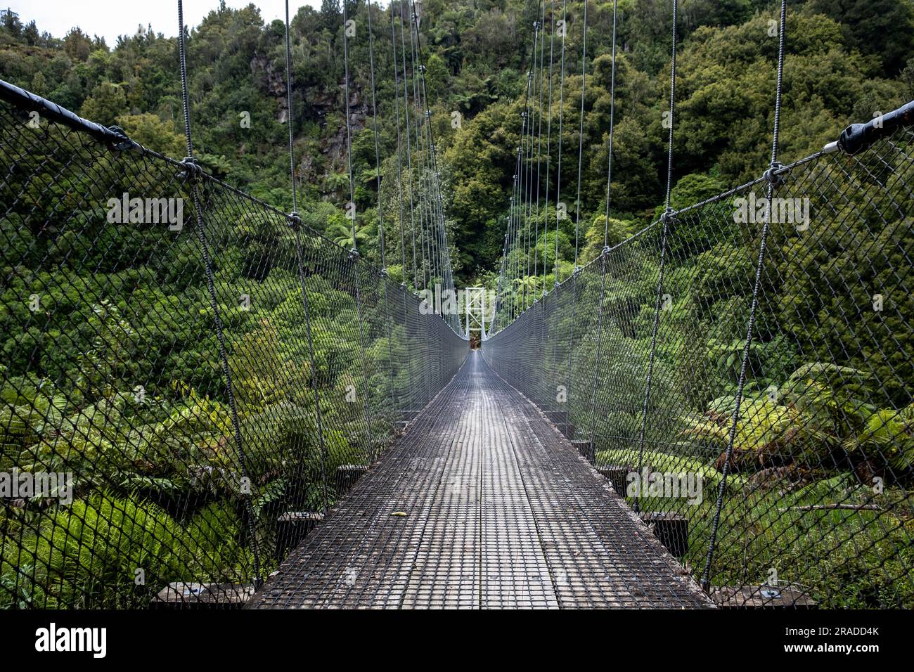 Mangakotukutuku Bridge on the Pureora-Ongarue Timber Trail near Taumarunui in Pureora Forest Park, North Island, New Zealand. Stock Photo