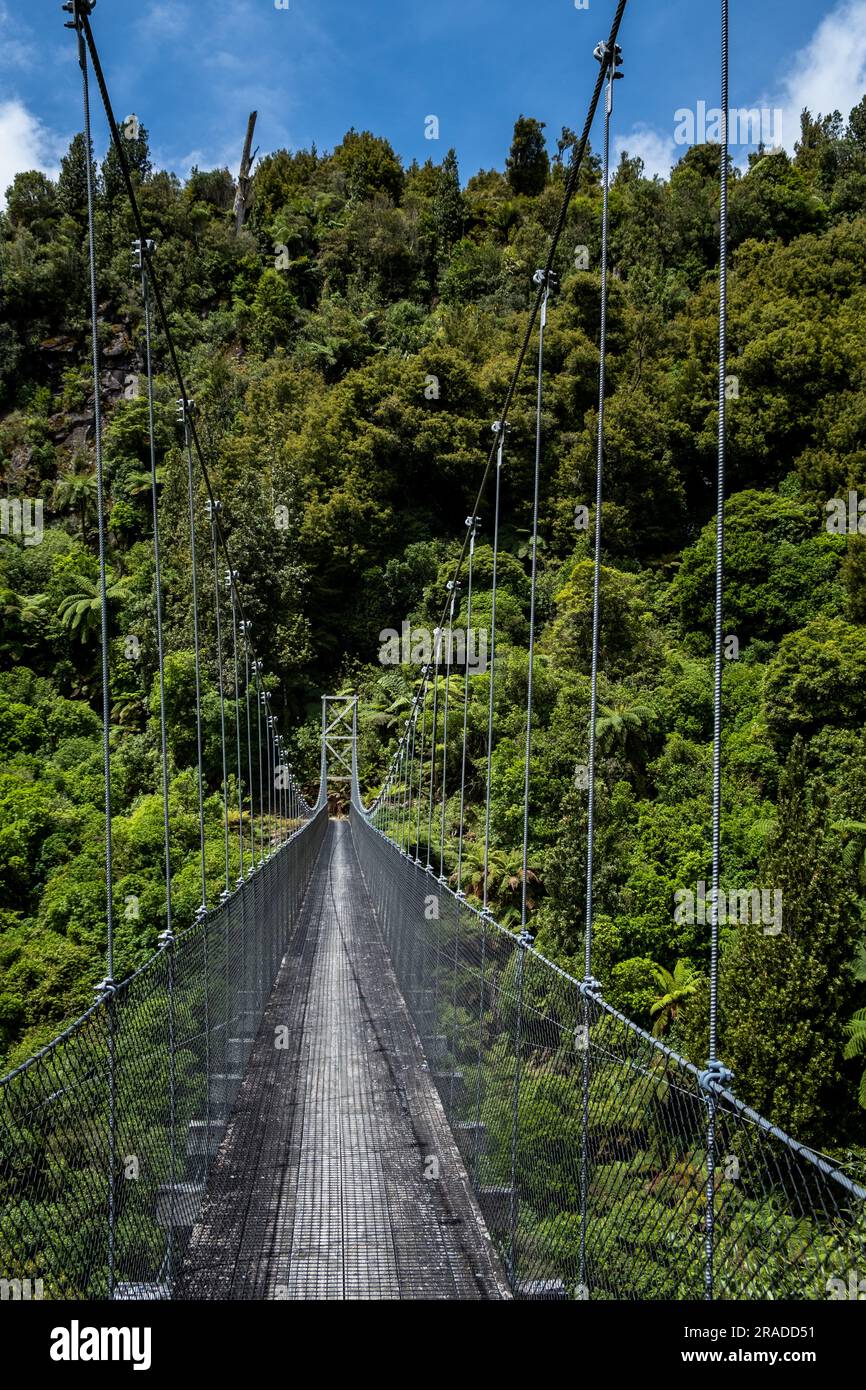 Mangakotukutuku Bridge on the Pureora-Ongarue Timber Trail near Taumarunui in Pureora Forest Park, North Island, New Zealand. Stock Photo