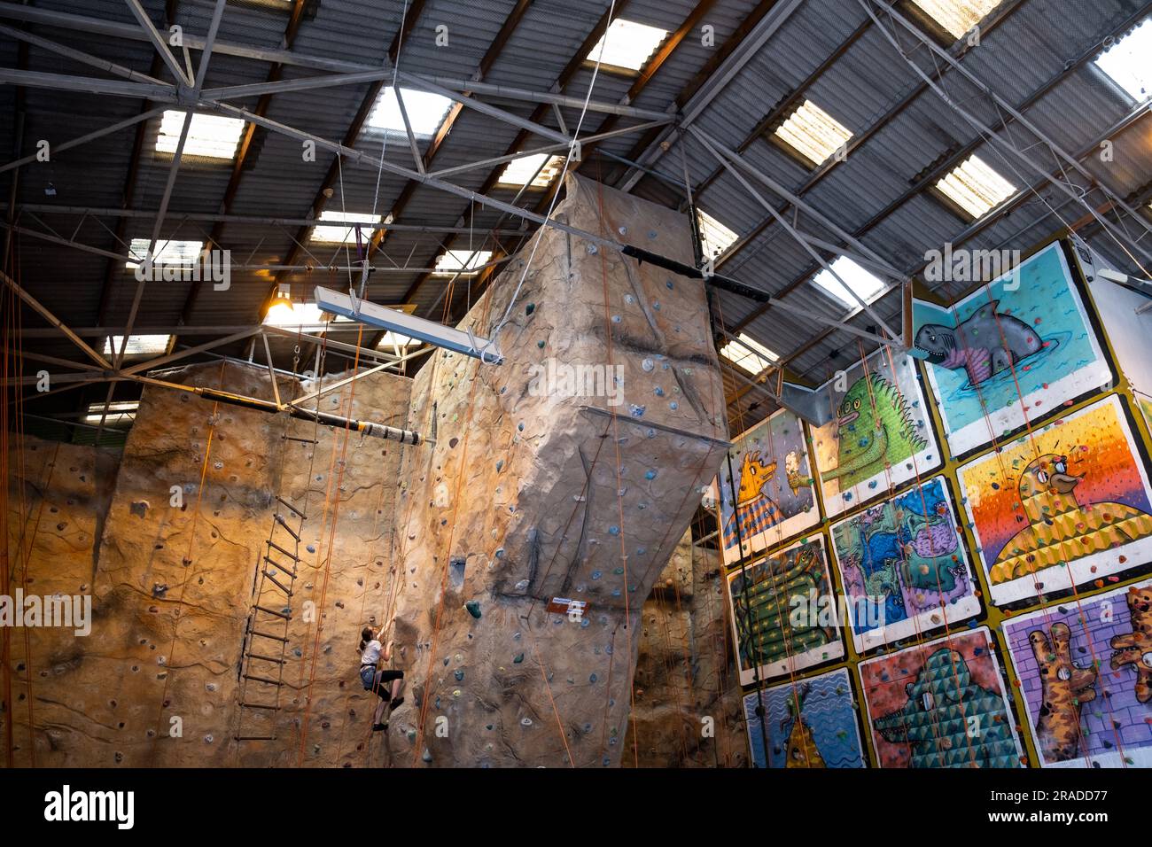 The climbing walls at Fergs Kayaks Rock Climbing Gym in the Harbour