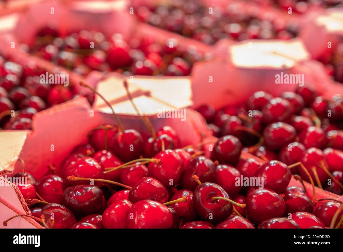 Fresh sweet cherries at street food market, close-up view with blurred background Stock Photo