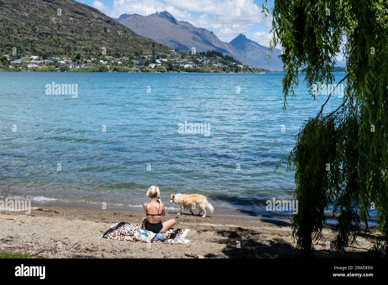 A woman sunbathing with a dog on the beach at Frankton overlooking Lake