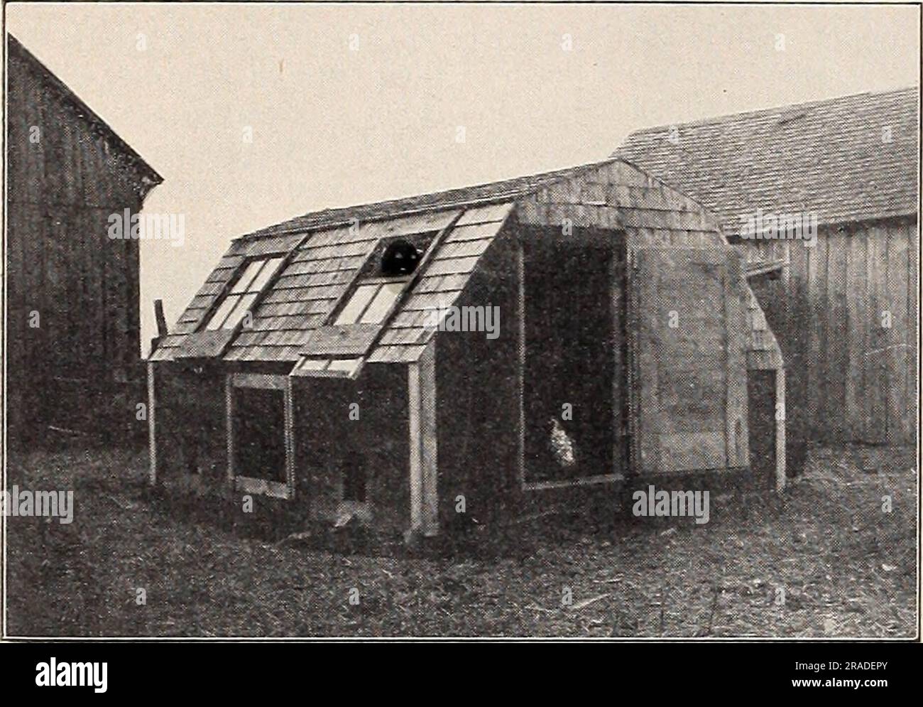 Image showcasing 