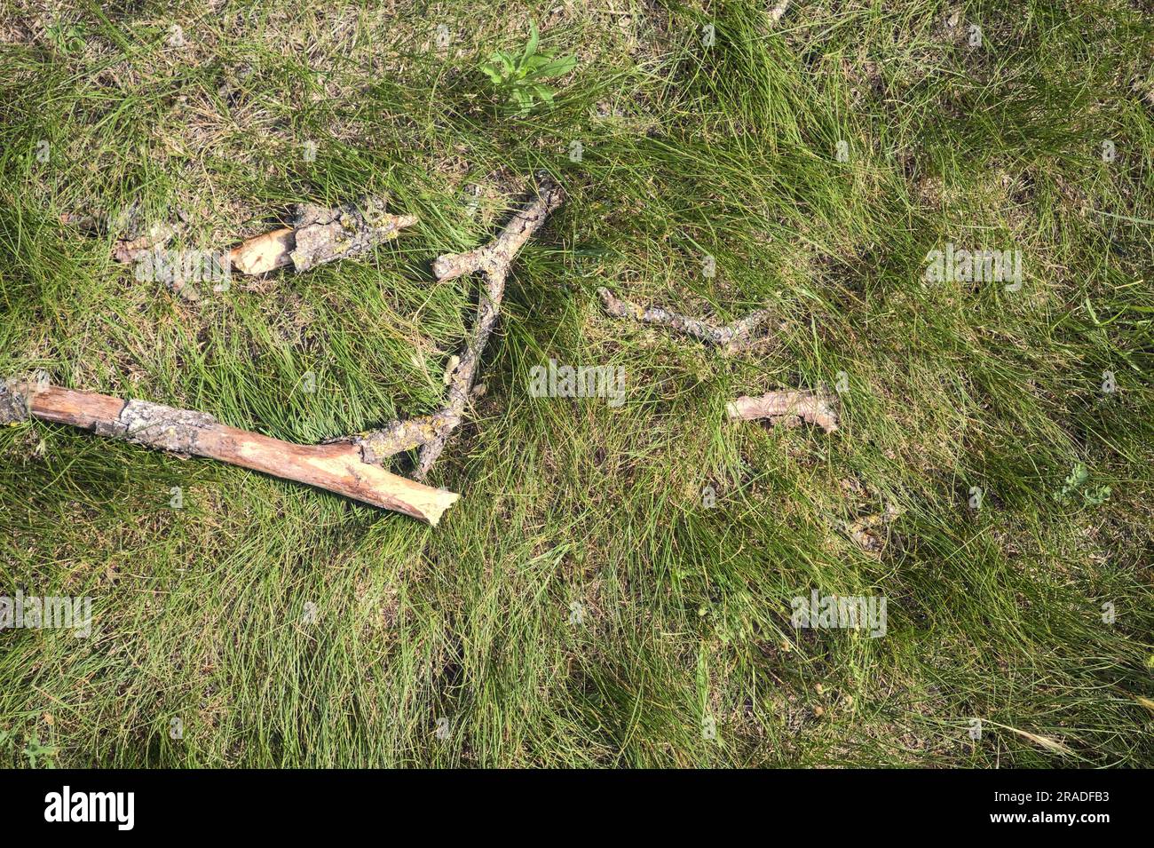 Wooden  sticks on the grass seen from above Stock Photo