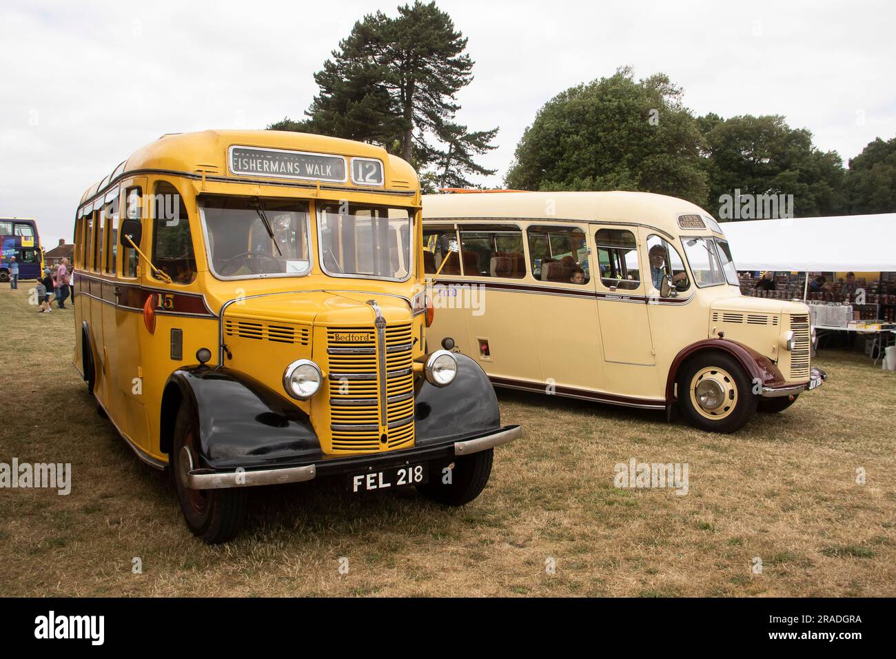 Bournemouth Bus Rally 2023, mostly vintage buses with a few models ans ...
