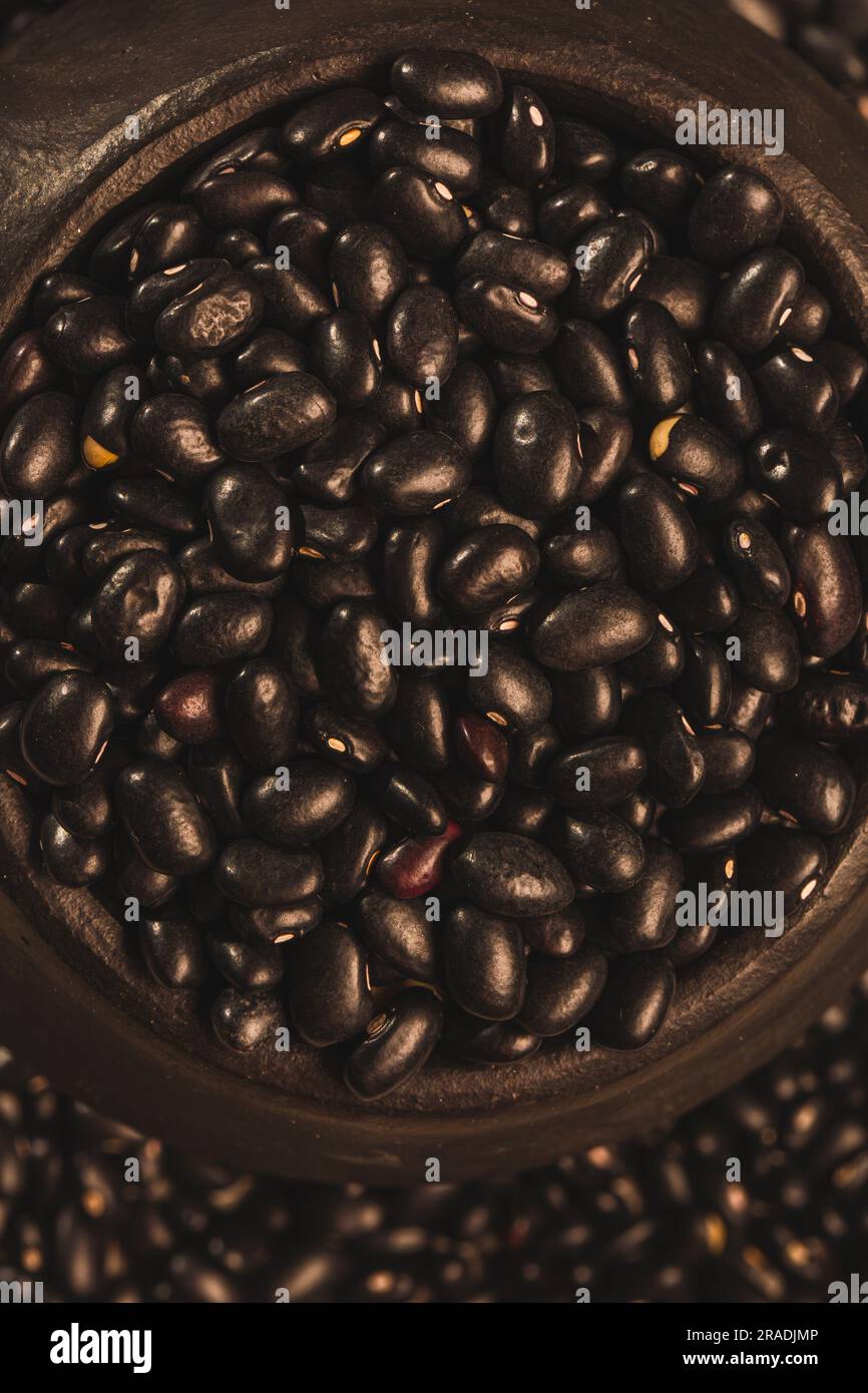 Black turtle bean is a small, shiny variety of the common bean Stock
