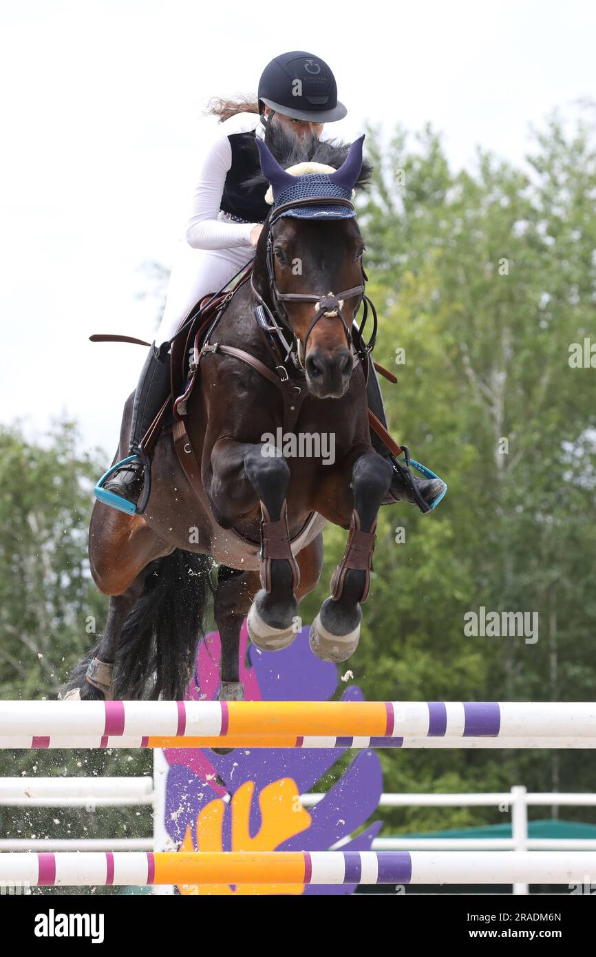 horse and rider on a horse in show jumping competition Stock Photo - Alamy