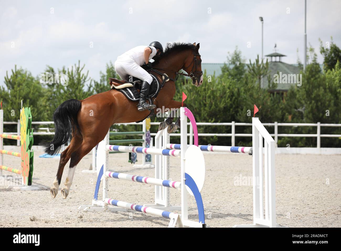 horse and rider on a horse in show jumping competition Stock Photo - Alamy