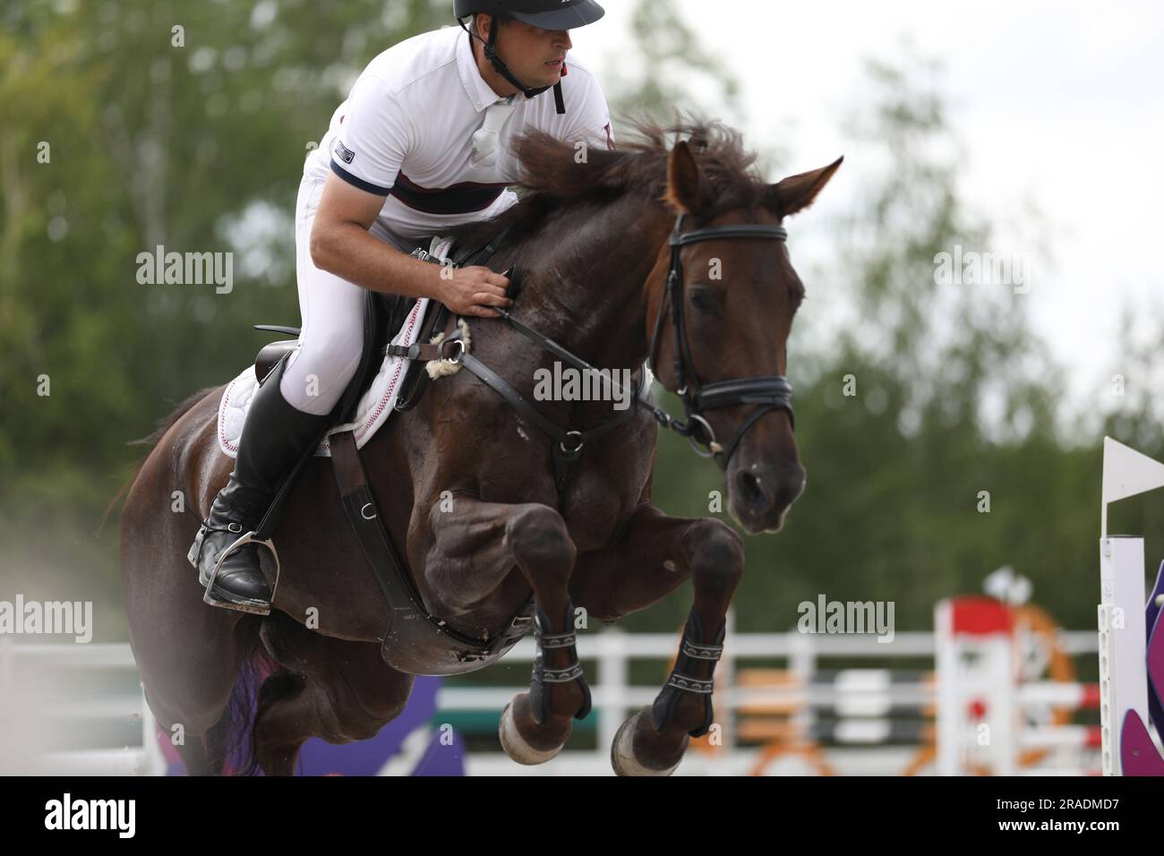 horse and rider on a horse in show jumping competition Stock Photo - Alamy