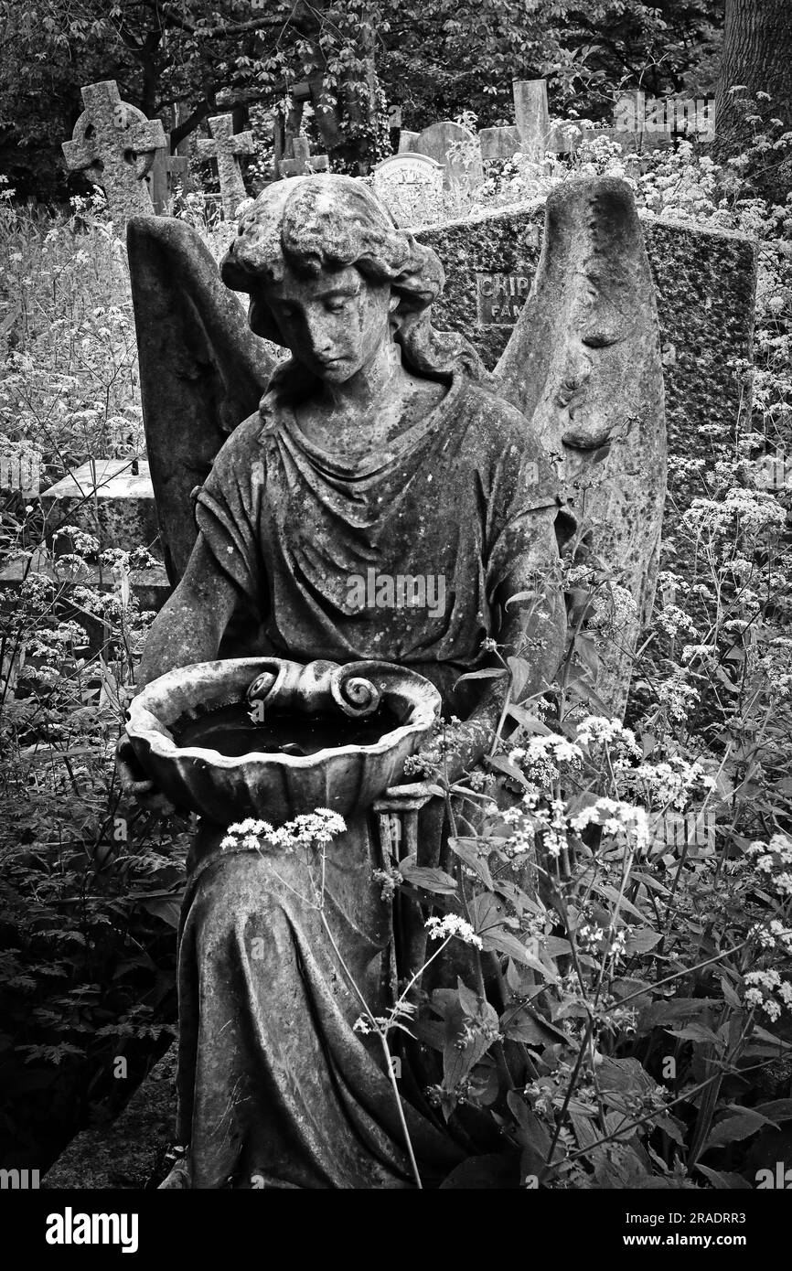 A weathered angel statue in an overgrown graveyard, photographed in monochrome, surrounded by wild flowers and plants Stock Photo