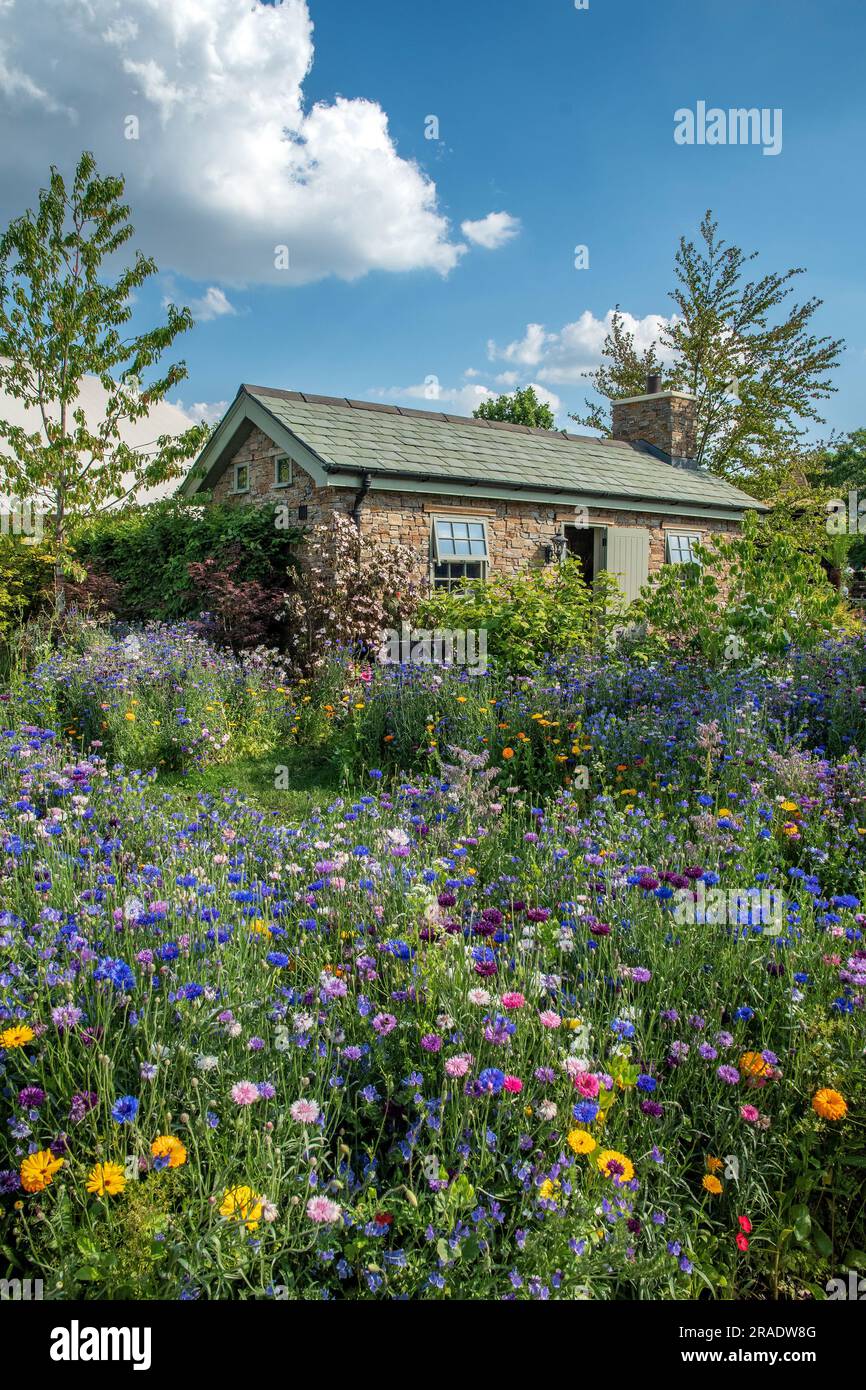 Garden displays hi-res stock photography and images - Alamy