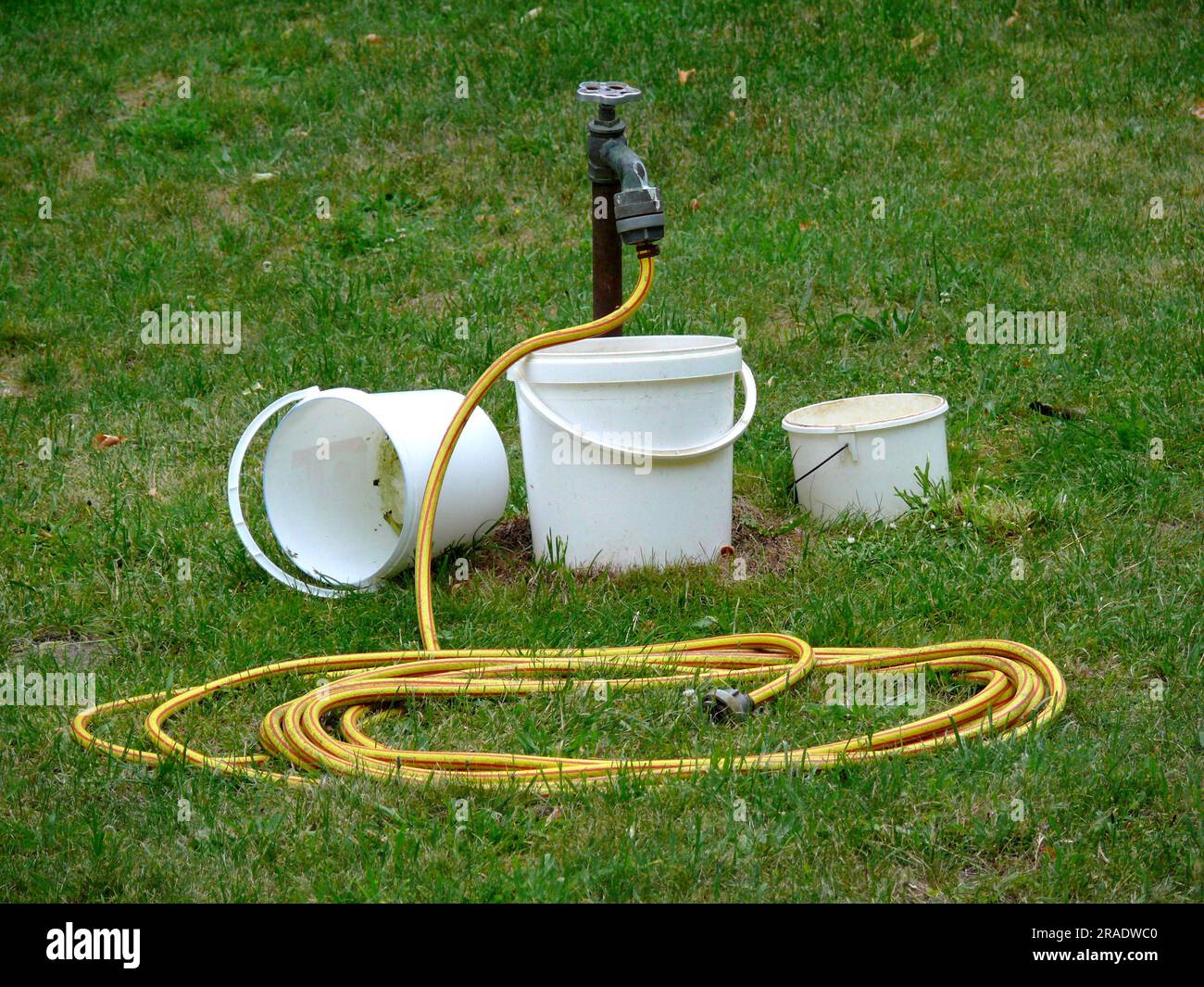 Water pipe with hose and buckets in the lawn Stock Photo Alamy