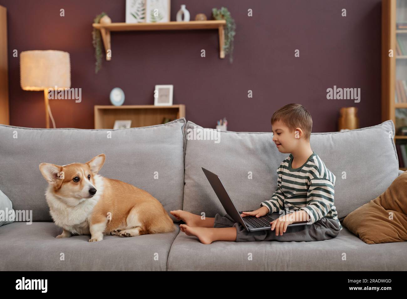 Side view portrait of curious little boy with down syndrome using laptop computer while sitting on comfortable sofa with dog, copy space Stock Photo
