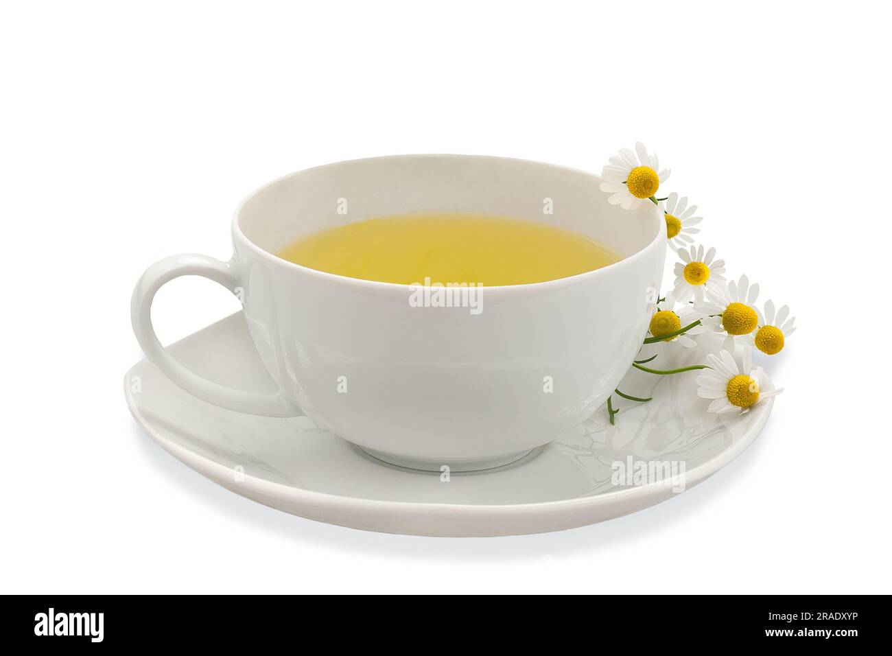 Chamomile cup with flowers isolated on white Stock Photo