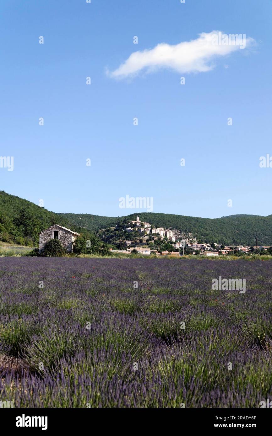 View of Simiane la Rotonde Stock Photo