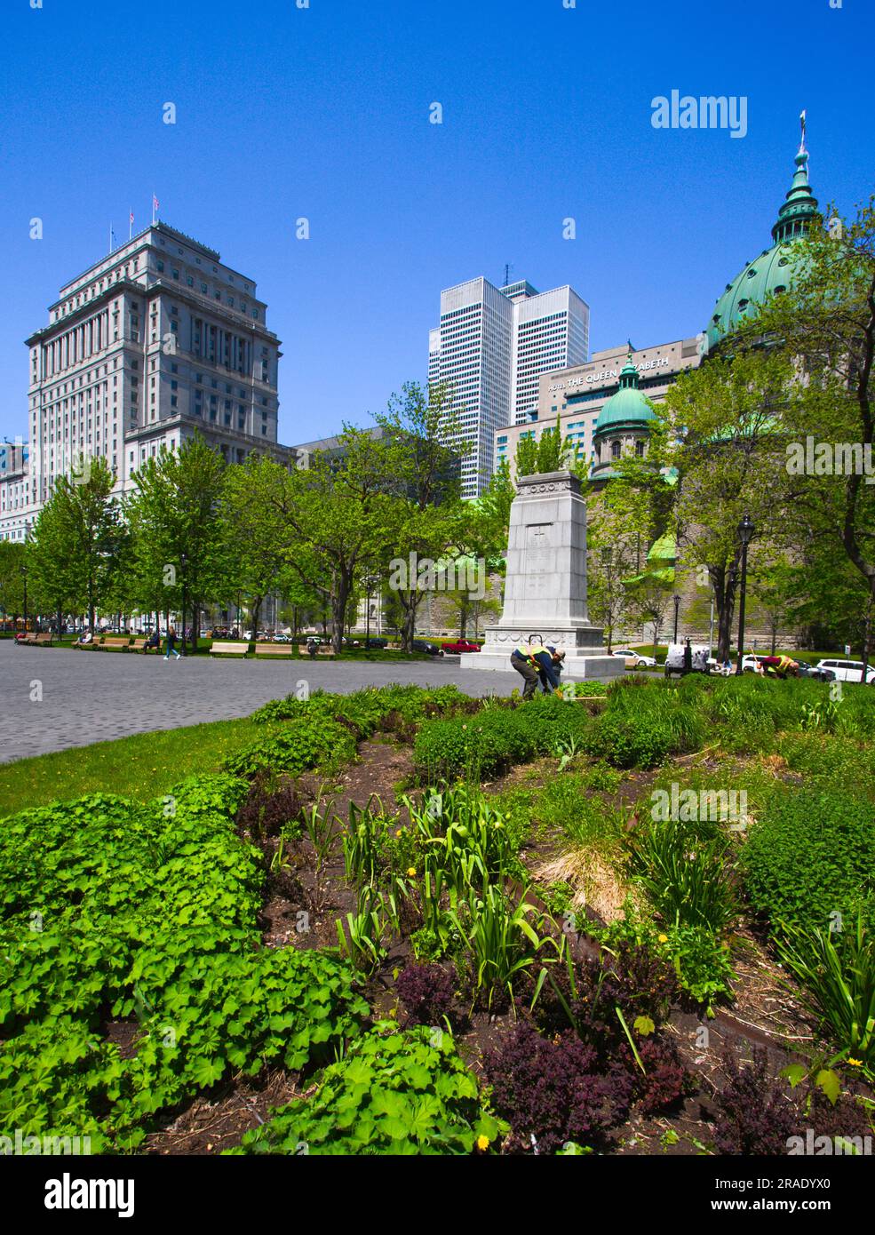 Canada, Quebec , Montreal, Dorchester Square, downtown, skyline Stock
