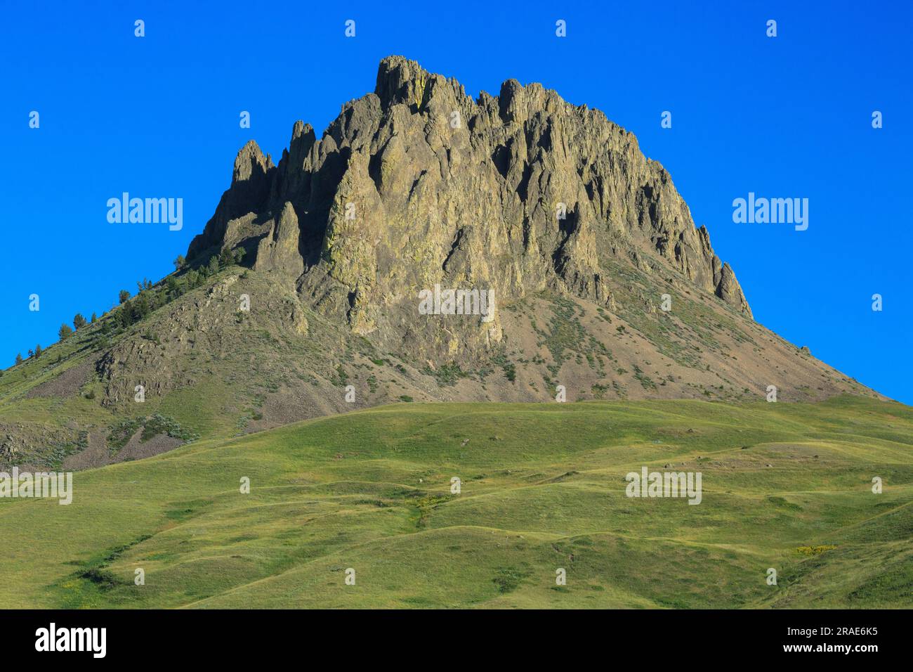 Mt d7660 hires stock photography and images Alamy