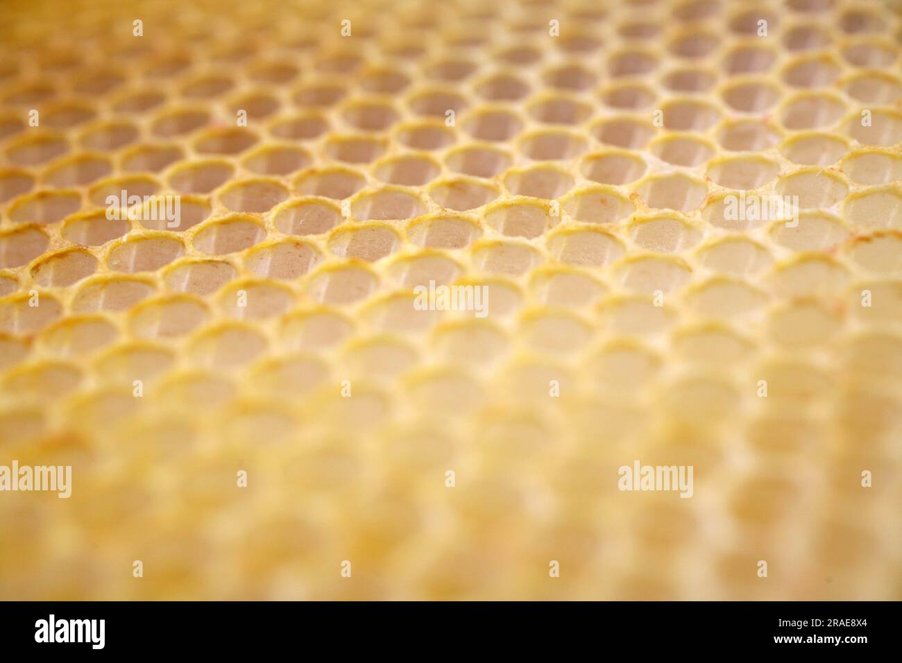 Wax Pockets Hi res Stock Photography And Images Alamy wax-pockets-hi-res-stock-photography-and-images-alamy