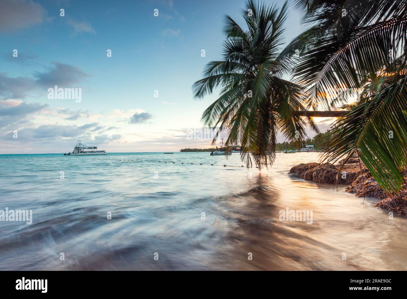 Exotic island beach with palm trees on the Caribbean Sea shore at ...