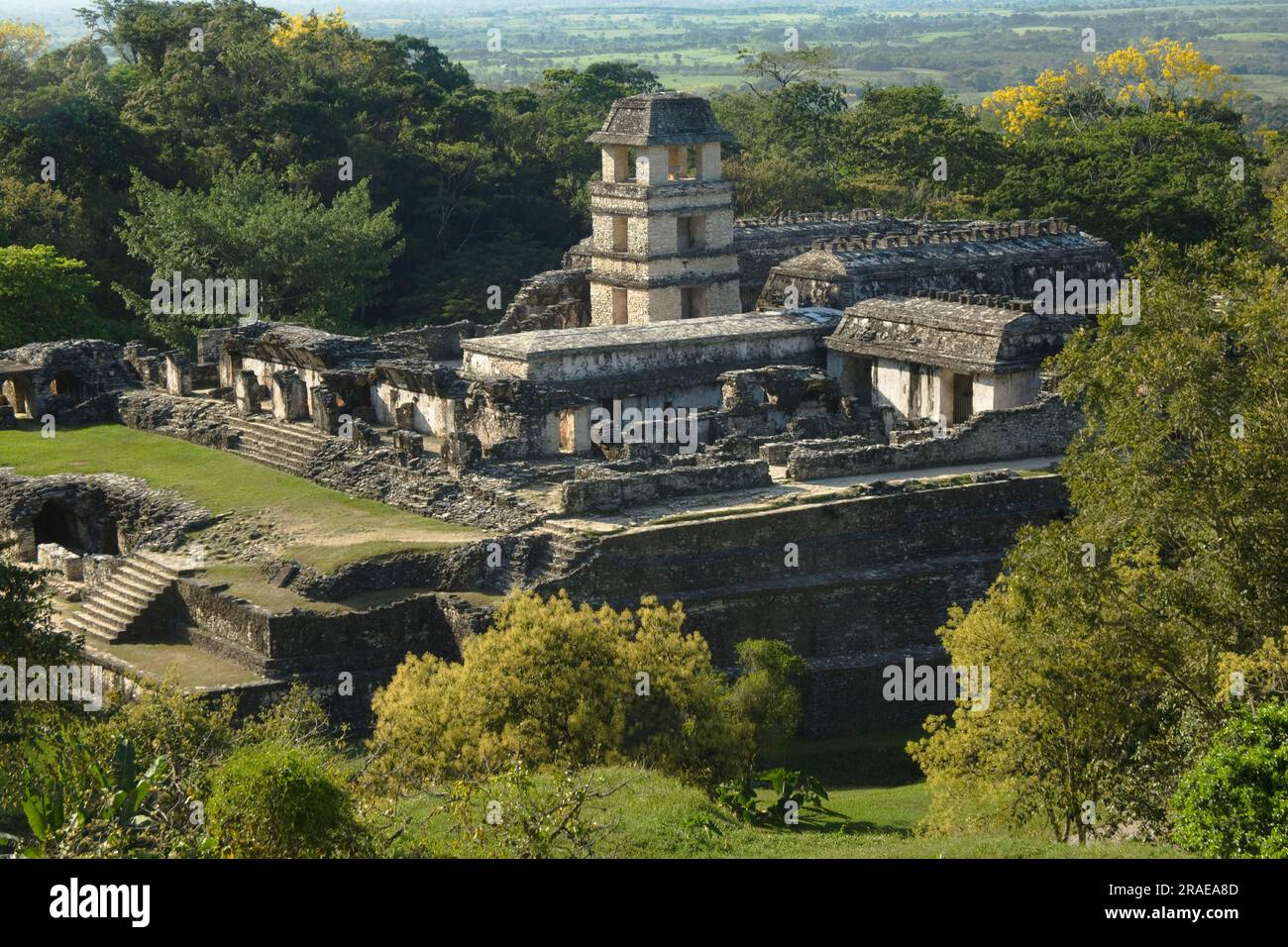 Palace, Palenque, Chiapas, Mexico Stock Photo - Alamy