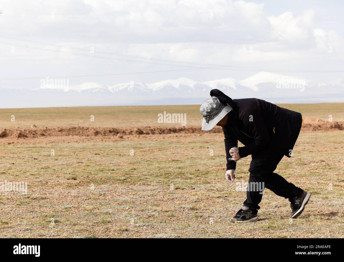 Human feces hires stock photography and images Alamy