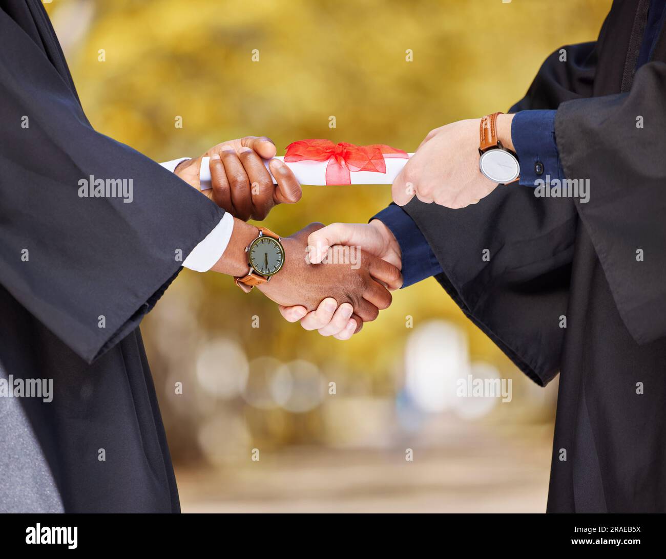 Graduation diploma, handshake and student in success, achievement and congratulations or thank you. Graduate or diversity people shaking hands of Stock Photo